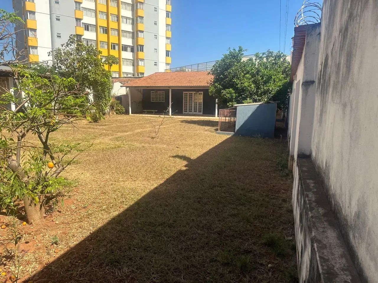 Lote Comercial - Setor Oeste - Foto 4