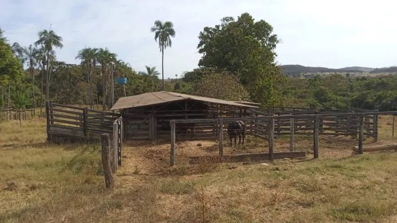 VENDE - SE, CHÁCARA DE 2 ALQUEIRES E 29 LITROS, EM VARJÃO. - Foto 2