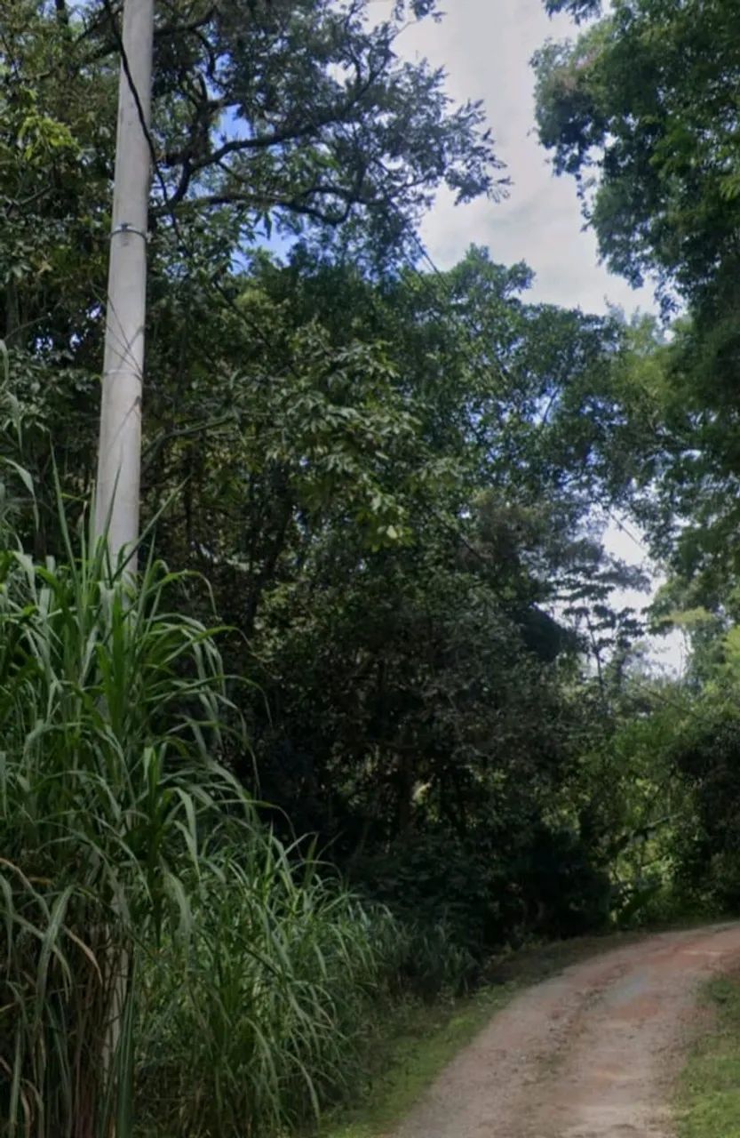 Sítio em Sabauna  - Foto 4