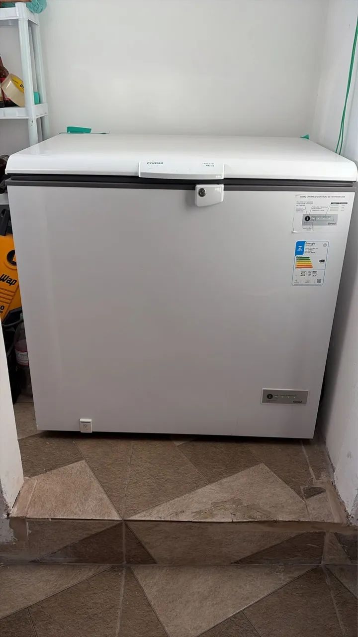 Freezer- Congelador Consul 309L 