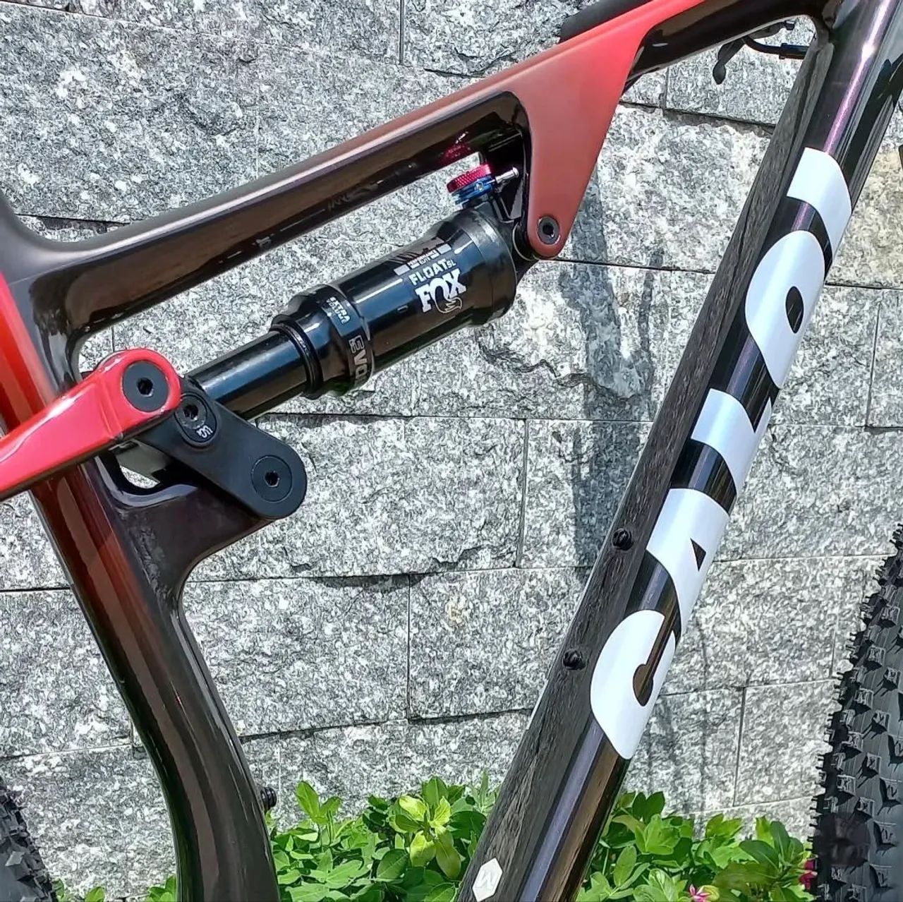 Elite Carbon FS Racing - Foto 2