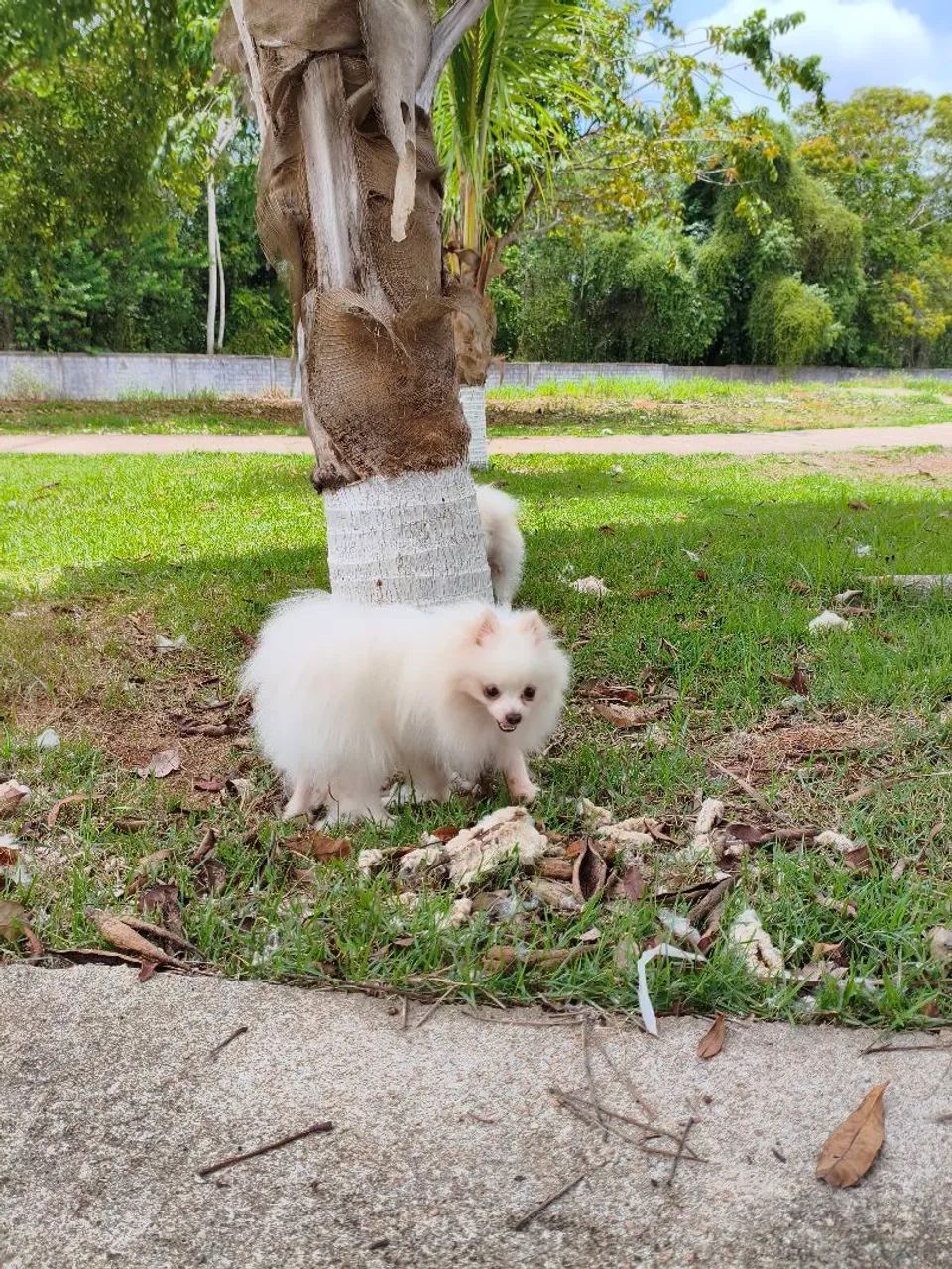 A procura de uma namorada. - Foto 4