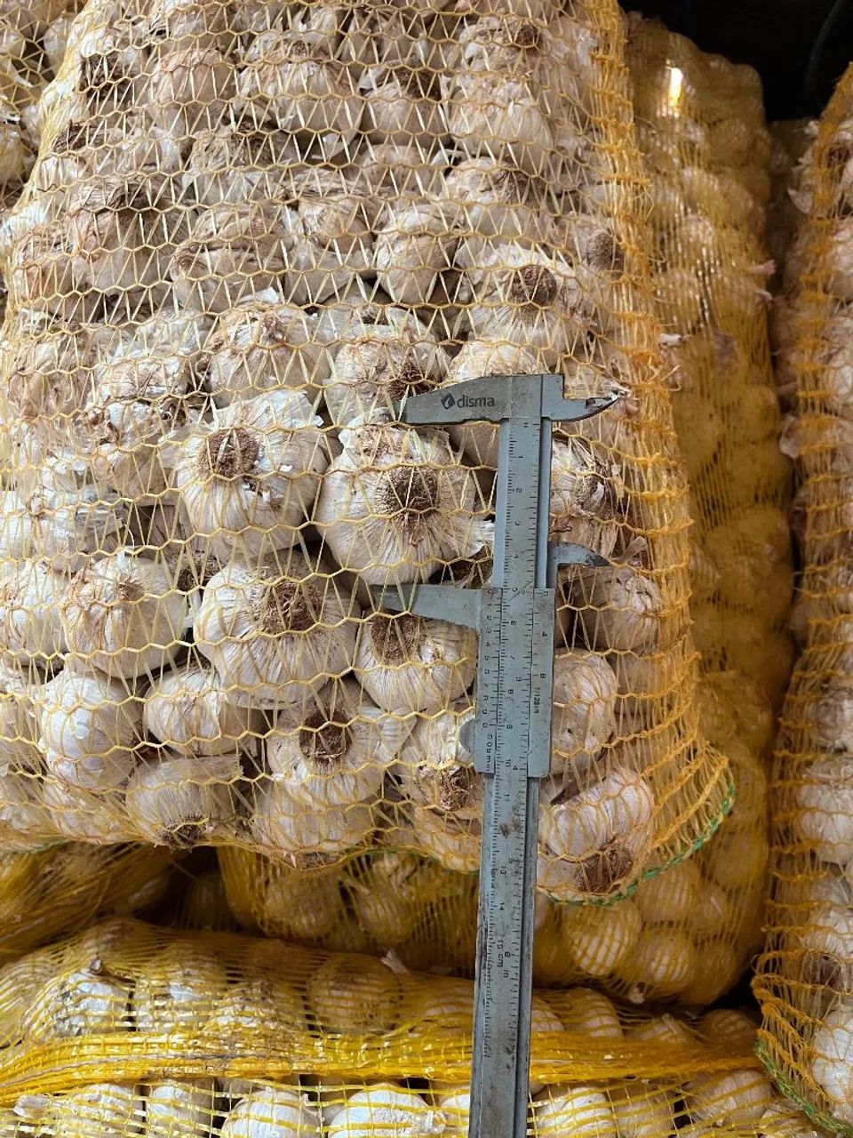 Alho R$ 10/kg - Foto 4