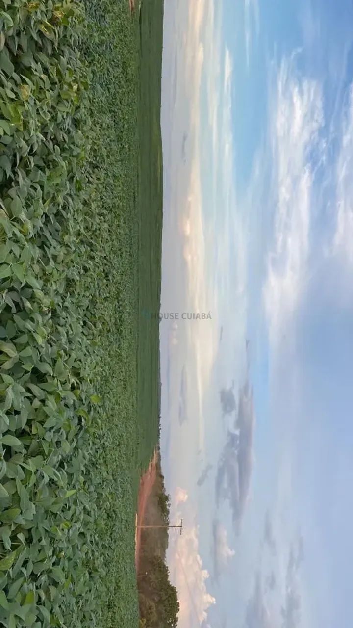 fazenda de 960 alqueirão, 3000 mil ha de lavoura, - Foto 4