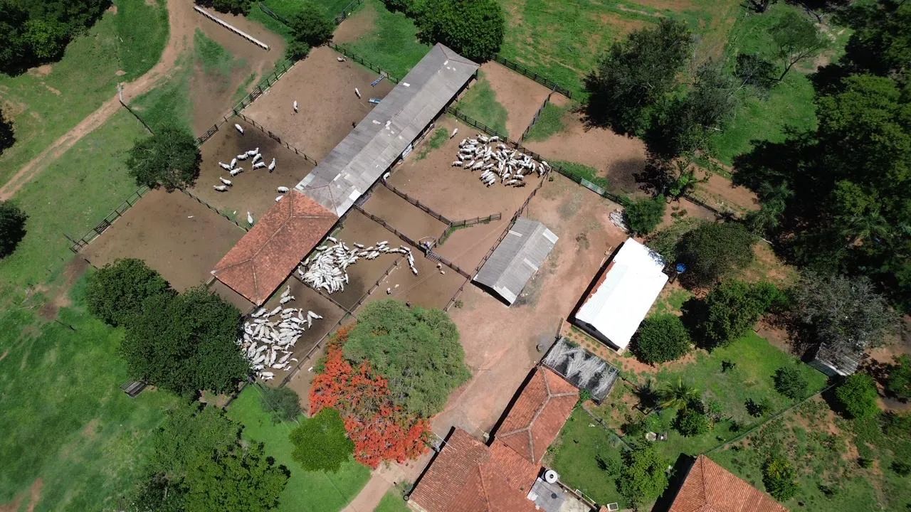 Fazenda Em Jaupaci/goias  - Foto 2