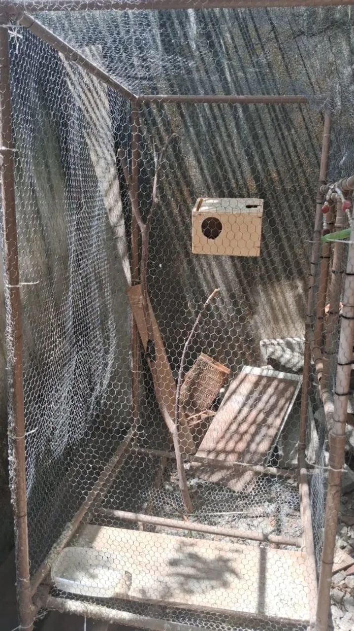 Viveiro Grande para pássaros 