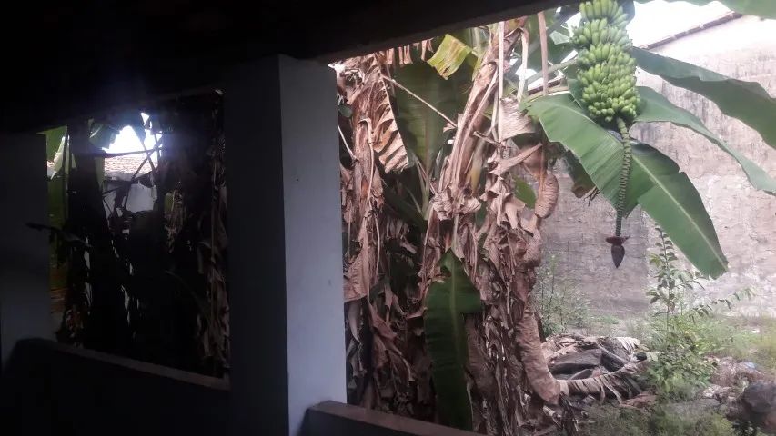 Casa no Centro de Anajatuba  - Foto 5
