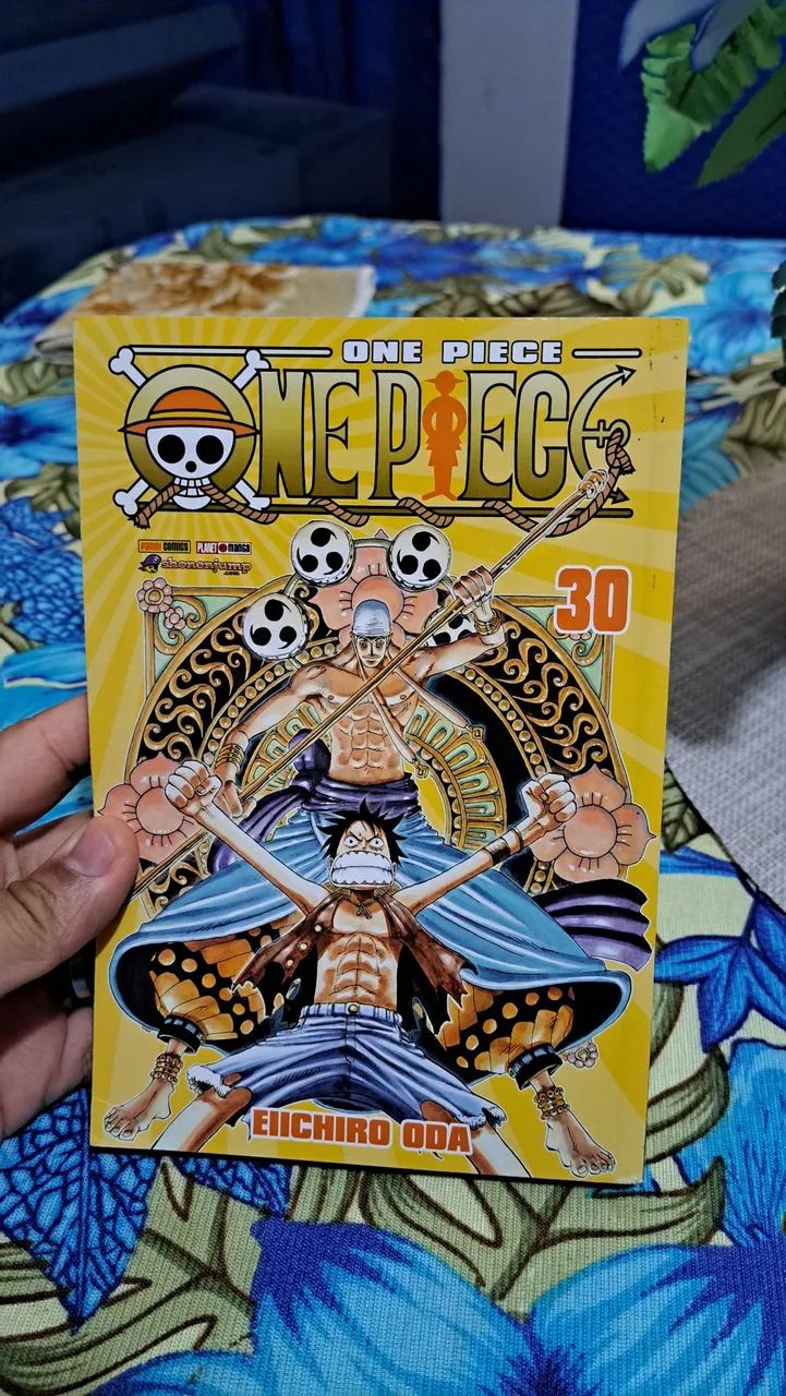 One piece vol 30