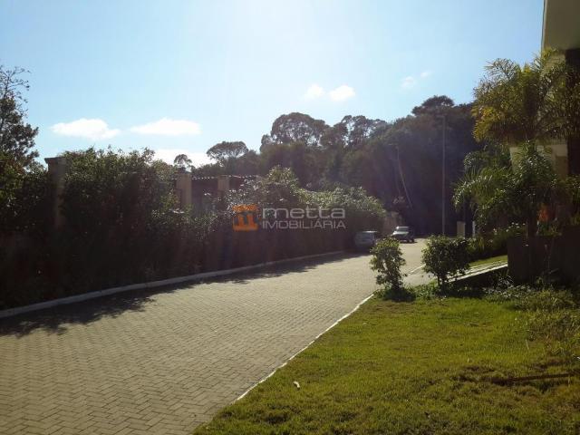 Terreno residencial à venda, itacorubi, florianópolis. - Foto 8