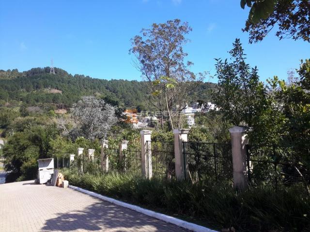 Terreno residencial à venda, itacorubi, florianópolis. - Foto 6