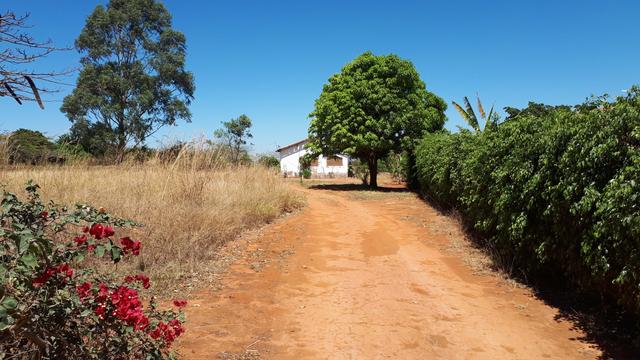 Excelente Chácara 10.000m2 - Rua 00 - Lago Oeste - Foto 12