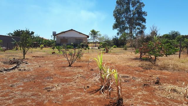 Excelente Chácara 10.000m2 - Rua 00 - Lago Oeste - Foto 7