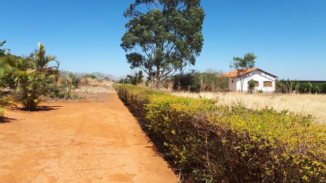 Excelente Chácara 10.000m2 - Rua 00 - Lago Oeste - Foto 17