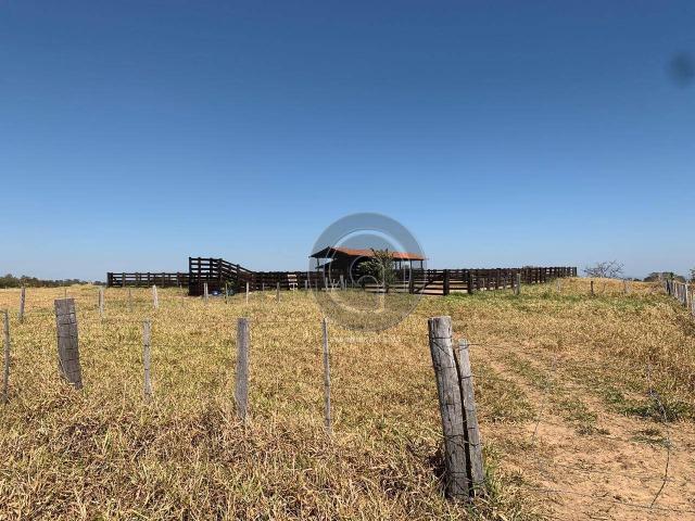 Fazenda 490 ha estrada de cáceres - Foto 20