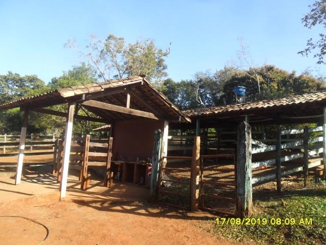 174B/ Belo haras de 12 ha pertinho da cidade de Entre Rios de Minas - Foto 9