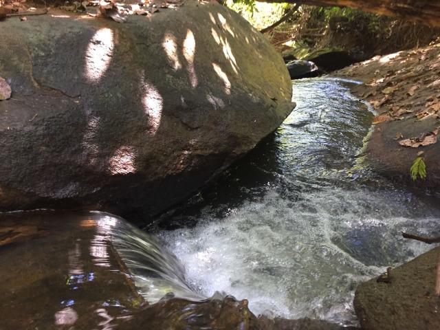 Chácara em Trindade- GO, aproximadamente 5.600M² - Foto 5