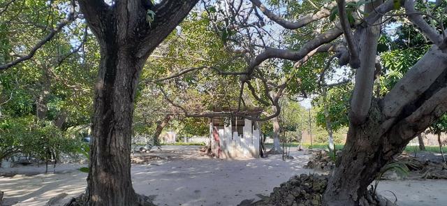 Belo Sítio em São José de Ribamar próximo ao Camino - Foto 8