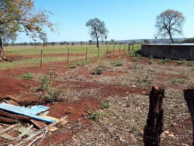 Fazenda em Campo Grande 4mil hectares!! - Foto 13