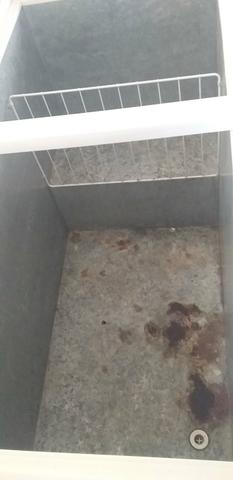 Freezer - Foto 2