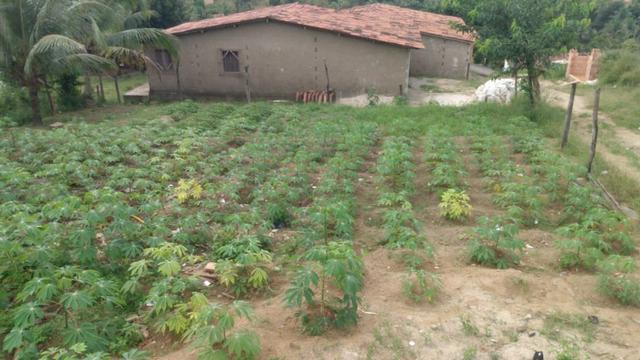 Terreno em Rio Formoso Entrada de Praia dos Carneiros