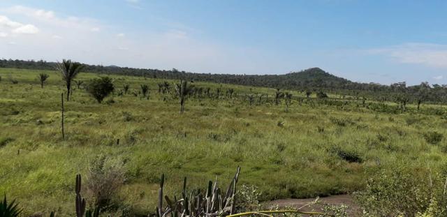 Vende-se fazenda - Foto 4