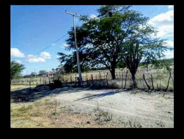 Roça já com casa água encanada luz instalada e energia - Foto 3