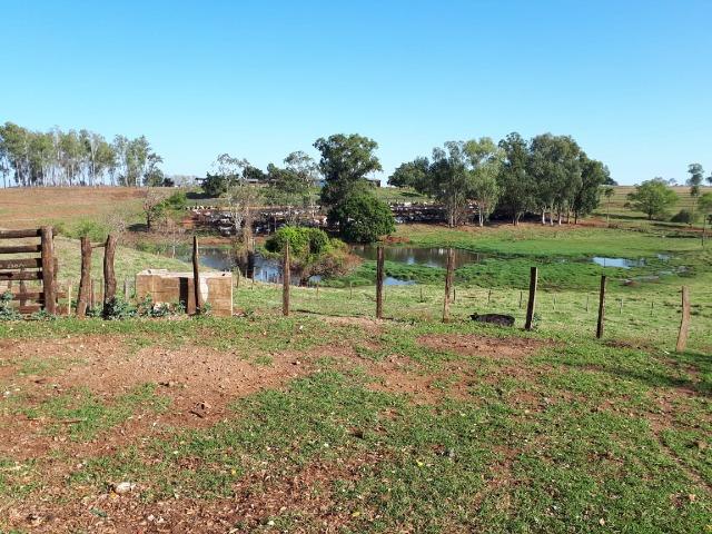 Fazenda em Campo Grande 4mil hectares!! - Foto 3
