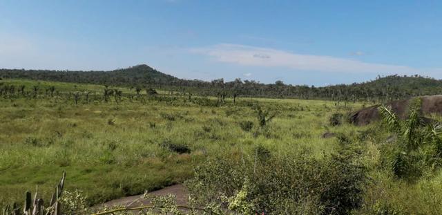 Vende-se fazenda - Foto 5