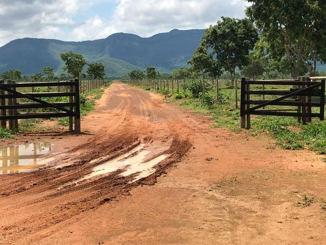 Fazenda 1.163 hectares em Livramento MT - Foto 12