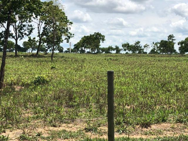 Fazenda 1.163 hectares em Livramento MT - Foto 14