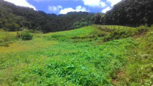 Lindo terreno de 2,8 hectares em Delfim Moreira Sul de Minas Gerais - Foto 3