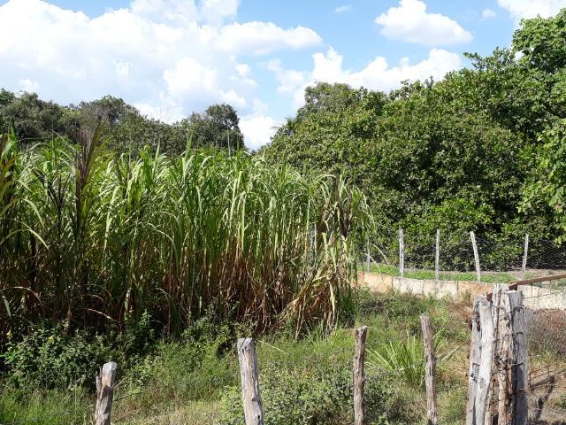 Fazenda as margem da BR 222 a 01 km de Batalha ? PI - Foto 20