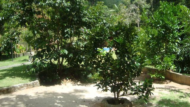 Sitio marechal floriano 2 hequitares - Foto 9