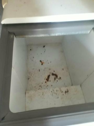 Freezer - Foto 2