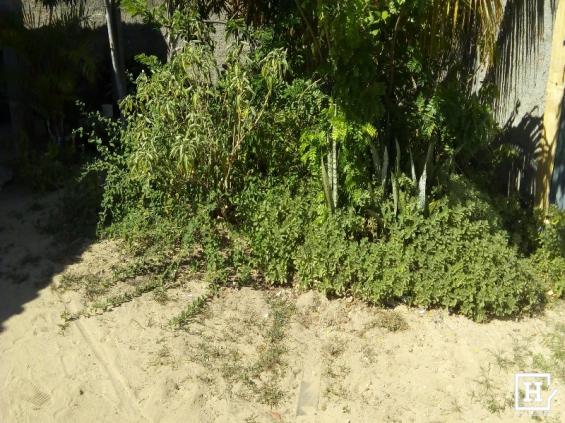 Casa à venda em areia branca zona de expansão - Foto 3