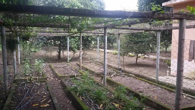 Sítio 9.000 m² com 2 casas - piscina - área social - todo murado - Itaguaí - Foto 10
