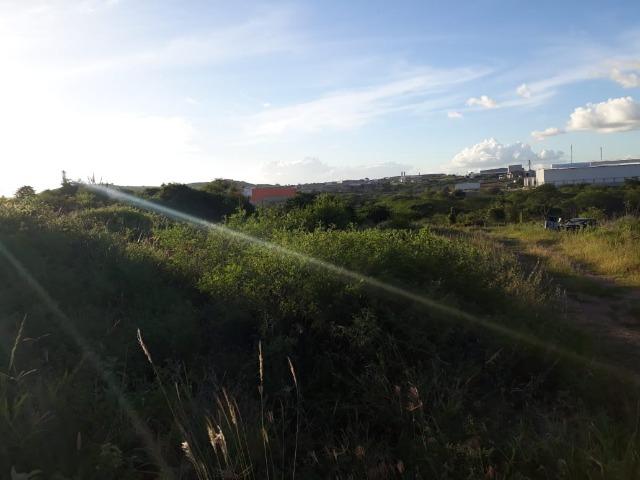 Ótima área com 4.4 hectares, em Caruaru-PE. Vende-se completa ou em partes.Aceita trocas! - Foto 5