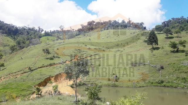 Fazenda de 100 alqueires paulistas, Campina Grande do Sul / PR - Foto 13