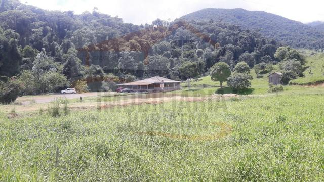 Fazenda de 100 alqueires paulistas, Campina Grande do Sul / PR - Foto 18