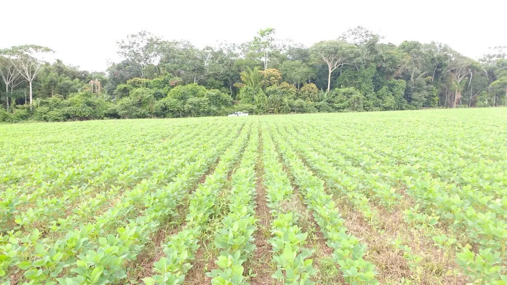 Fazenda 2.300 hect. Em nova Maringá MT. 700 de lavoura R$:45 milhões.