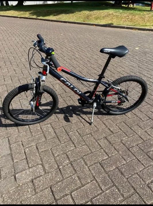 Bicicleta Infantil - Foto 3