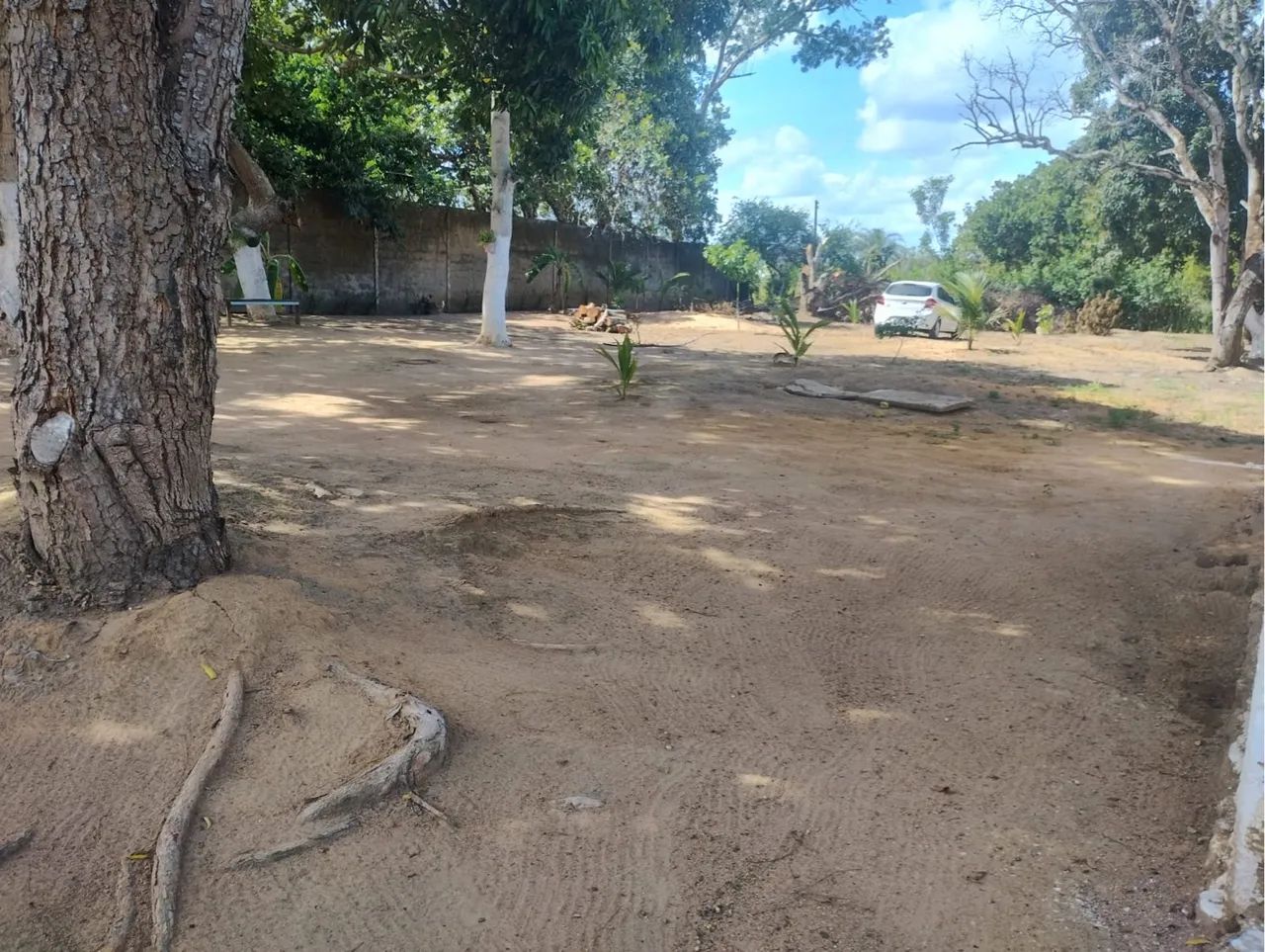VENDO essa CHÁCARA em Arapiraca-AL. - Foto 4