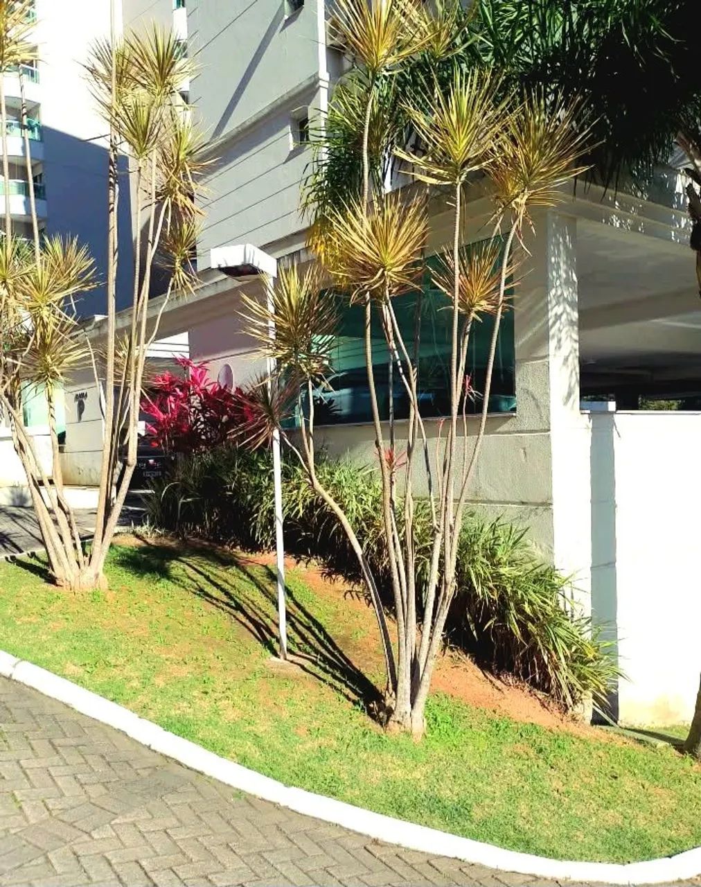 Jardineiro em Florianópolis  - Foto 3