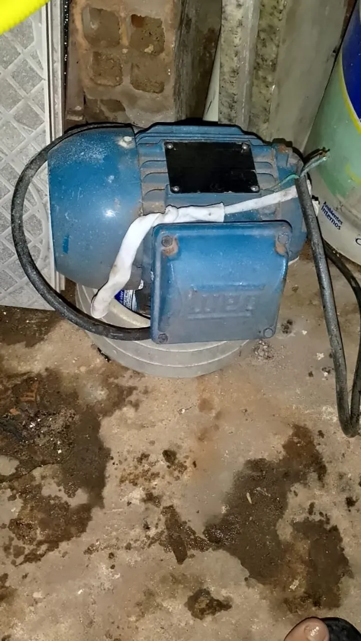 Motor eletrico trifásico