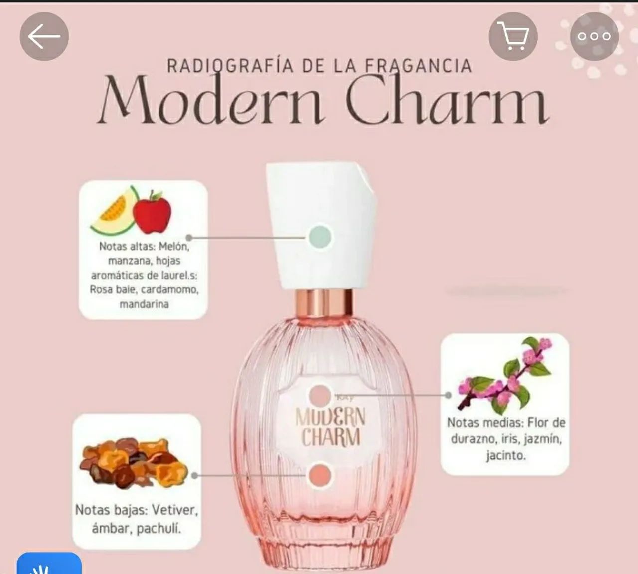 Perfume Feminino Mary Kay Modern Charm 50ml - Foto 2
