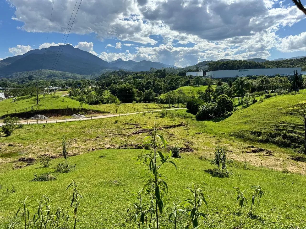 Terreno ao lado da BR 282 - Santo Amaro da Imperatriz - SC - Foto 3
