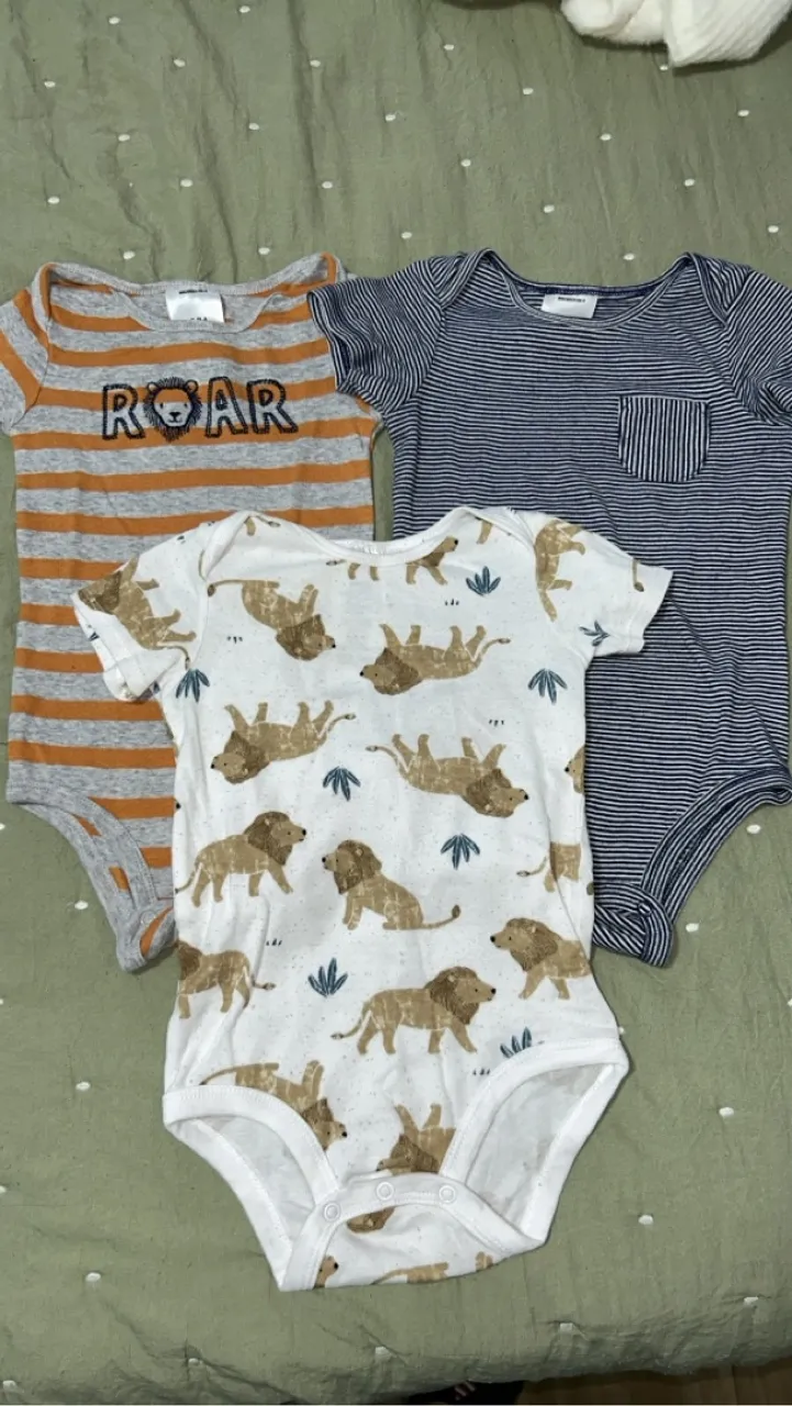 Conjunto carters