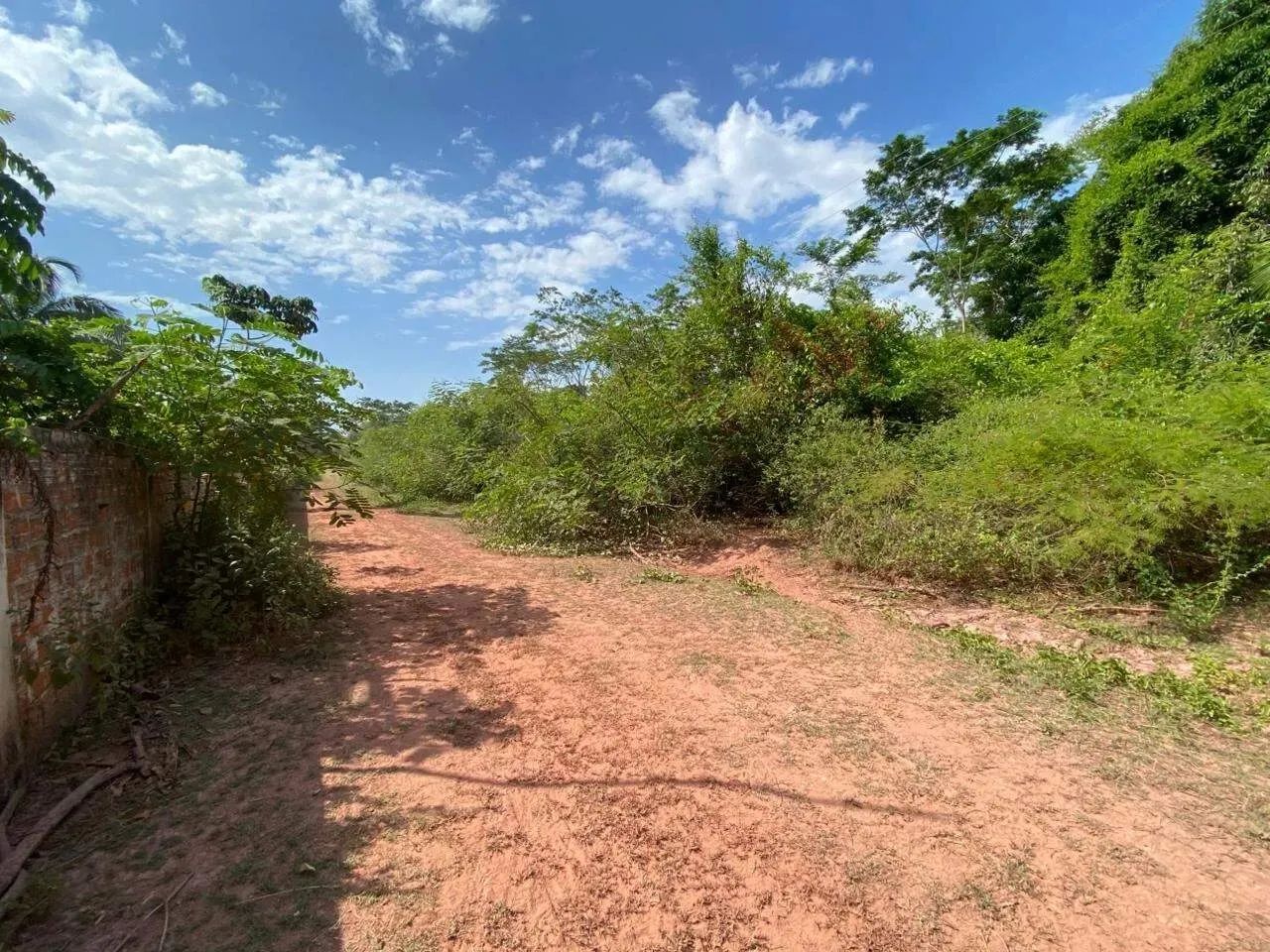 Terreno - venda - Foto 2