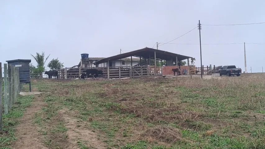 Sitio