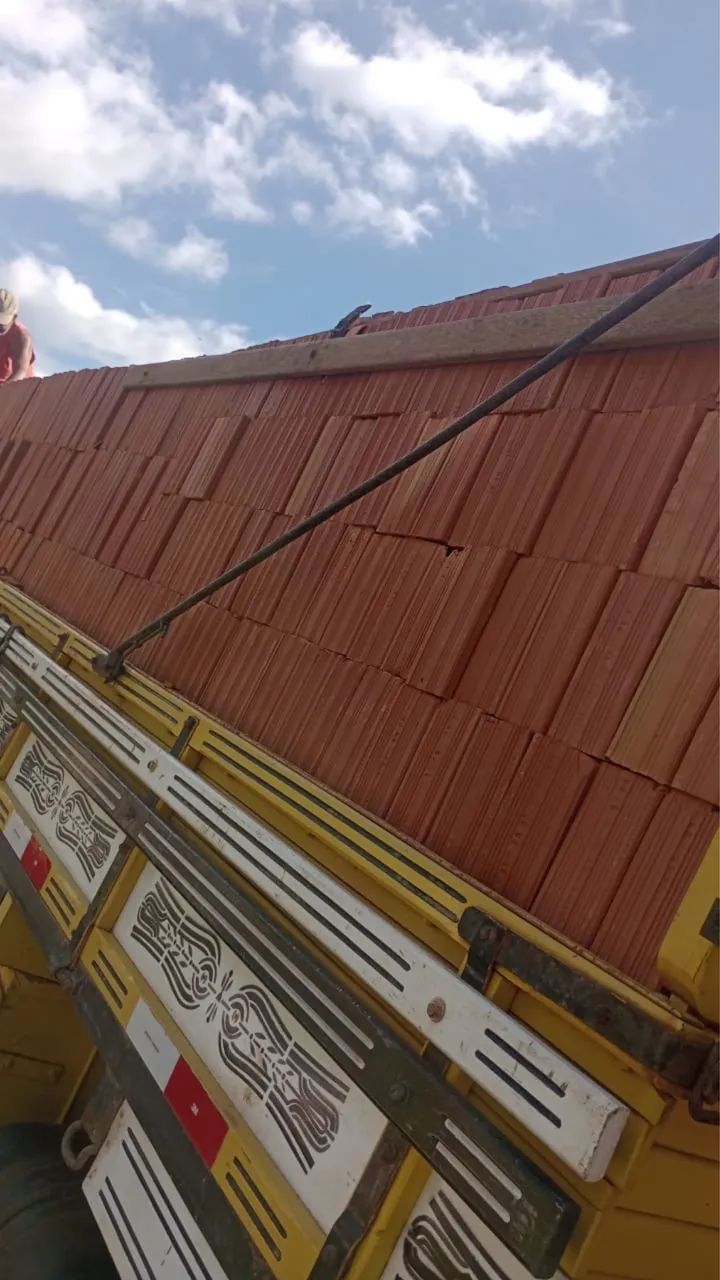 Tijolo PRIMEIRA LINHA 64385784936449121